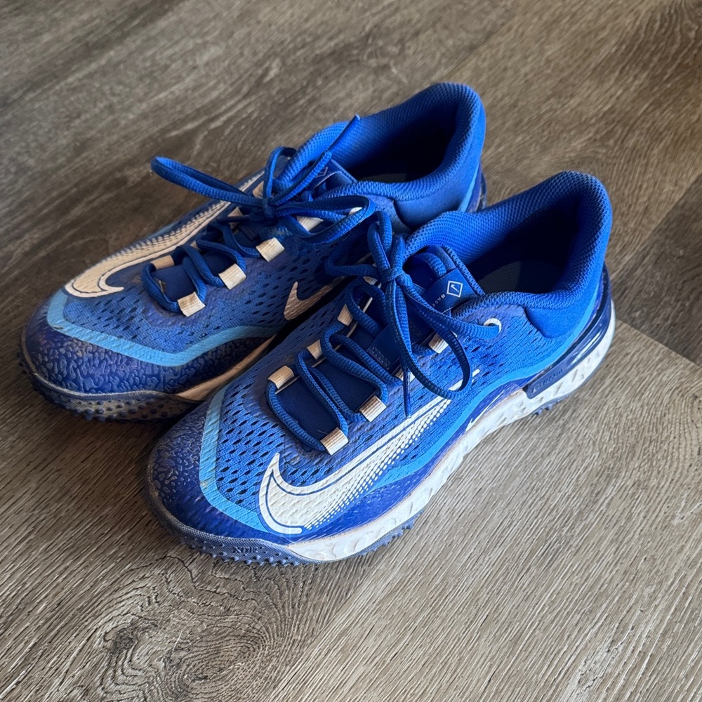 Nike Kids Royal Blue Sneakers